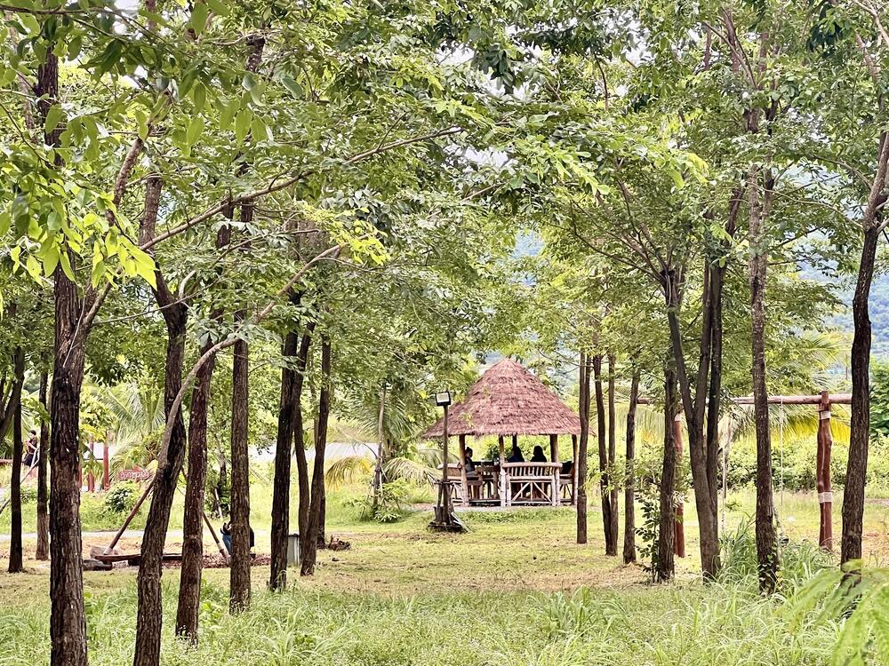 The Kanhchos pavilion seen through the grove on a quiet afternoon